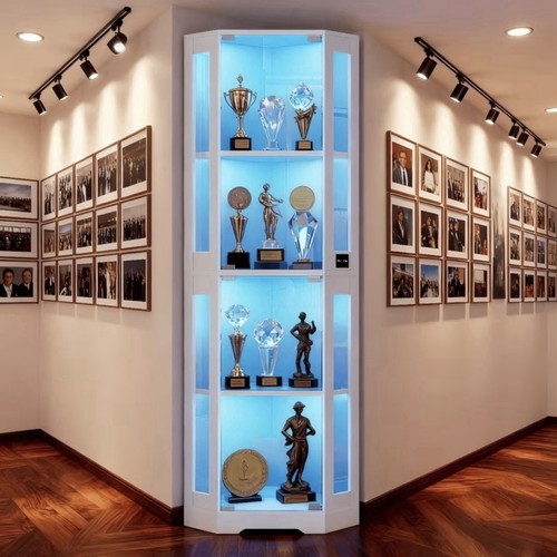 Corner glass display cabinet - glass,